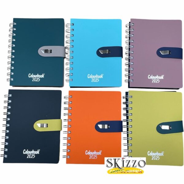 IMG-20241022-WA0007 agenda 2025 giornaliera spiralata virgola colourbook