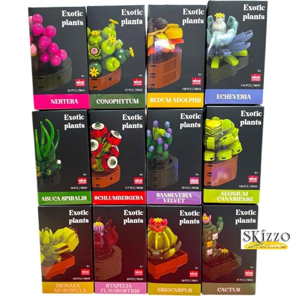 mattoncini nice exotic plants piante esotiche