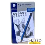 set matite lumograph